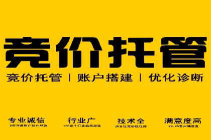 提升SEM效果：SEM专员的五个成功案例解析